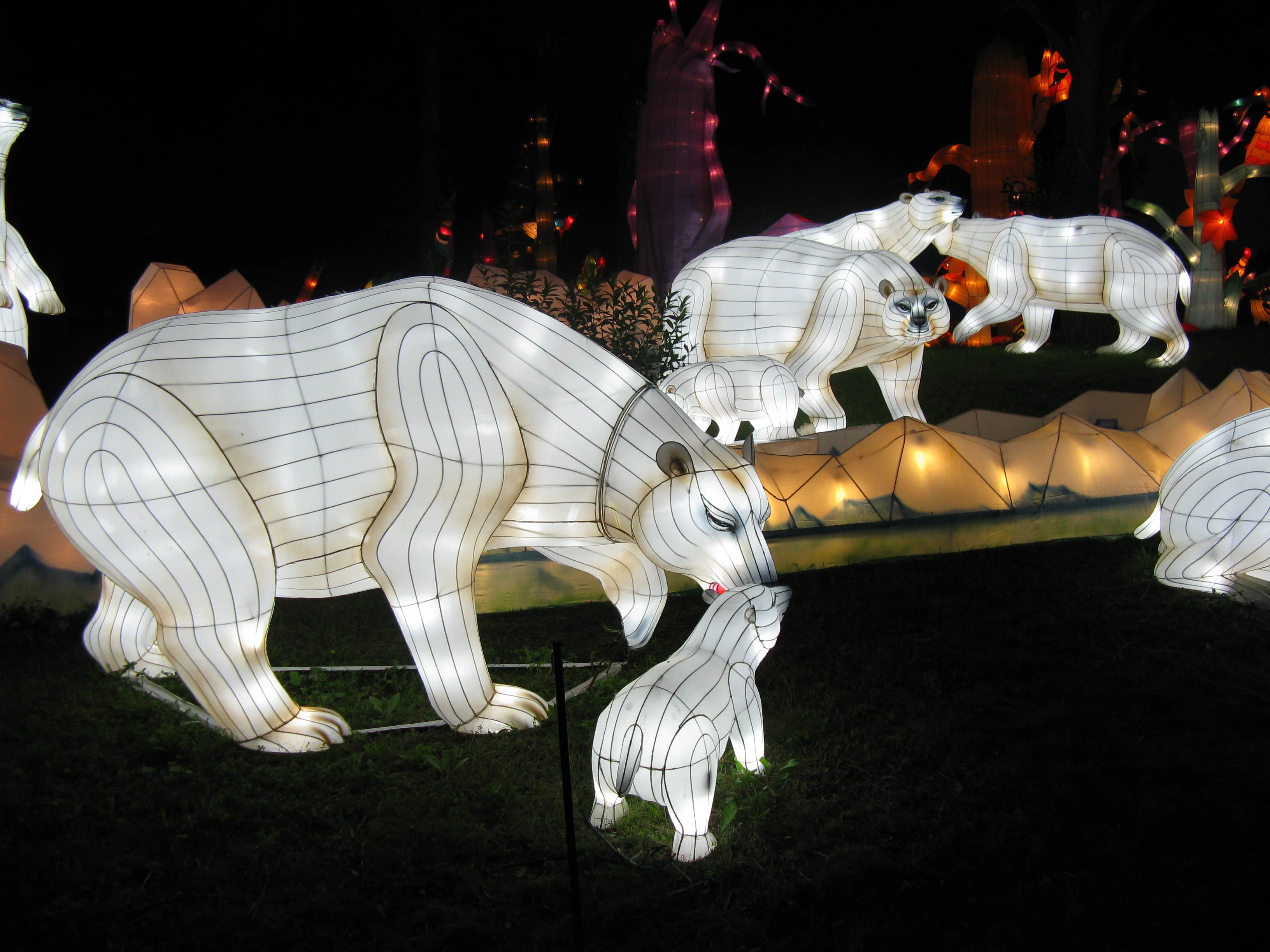 Zigong lantern art exhibition project