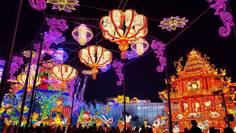 Zigong lantern art project with large illuminated displays