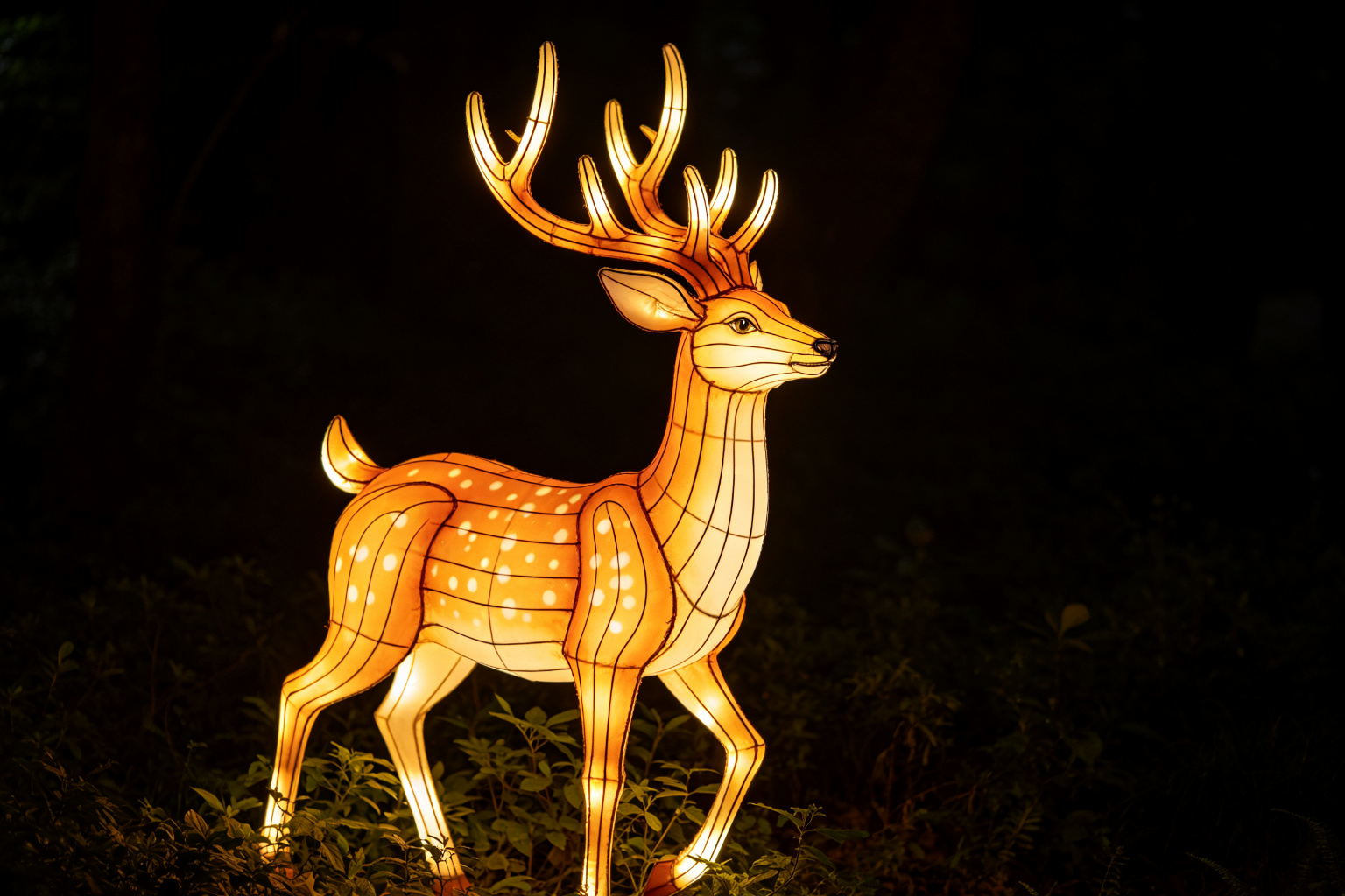 Deer Lantern Display (ZD-015) - Animal Lanterns by Zedong, dimensions 320x100x340cm
