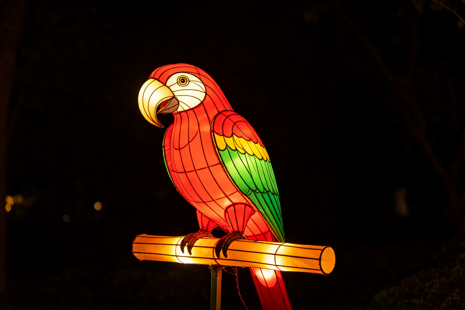 Parrot Lantern Display (ZD-024) - Animal Lanterns by Zedong, dimensions 250x100x350cm