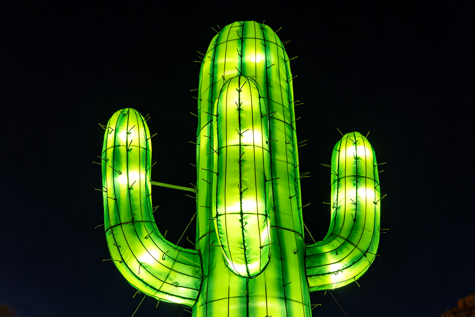 Cactus Garden Lantern Display (ZD-071) - Plant & Flower Lanterns by Zedong, dimensions 250x200x300cm