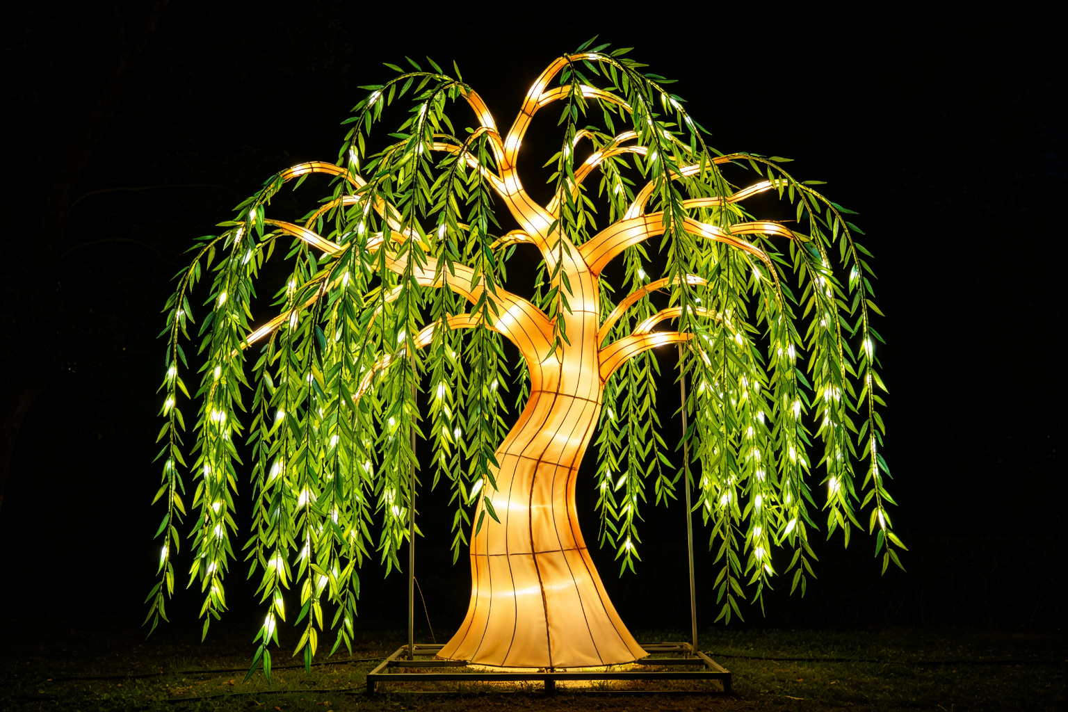 Willow Tree Lantern Display (ZD-073) - Plant & Flower Lanterns by Zedong, dimensions 450x400x500cm