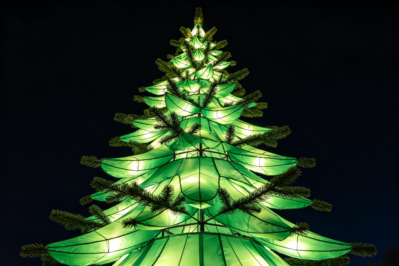 Pine Tree Lantern Display (ZD-074) - Plant & Flower Lanterns by Zedong, dimensions 300x250x600cm