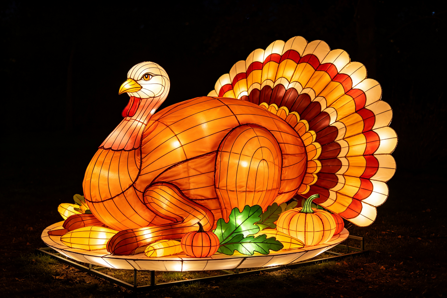 Thanksgiving Turkey Lantern Display (ZD-141) - Festival & Holiday Lanterns by Zedong, dimensions 250x180x250cm